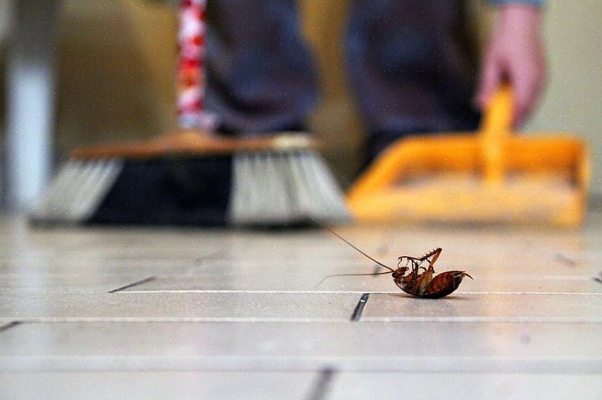 Skadedyrkontroll er ofte forbundet med kjemisk bekjempelse av plantevernmidler