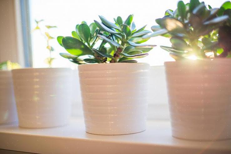 Er det fornuftig å skape god feng shui-energi i det