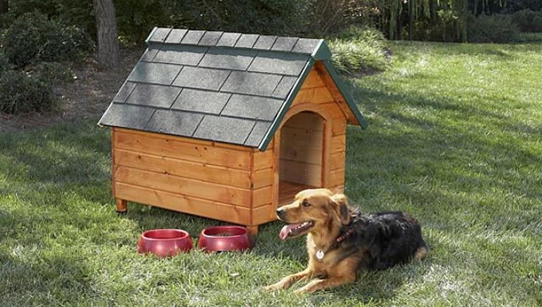 Etterligner dette hundehuset et klassisk hjem i kolonistil
