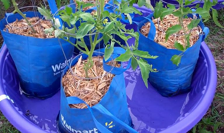 En uformell hageplanter laget av et stivt barnebasseng av plast er veldig billig