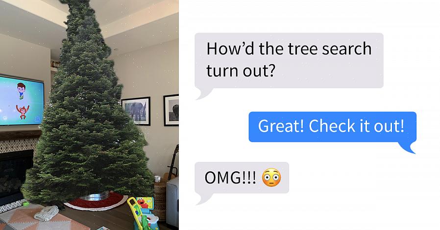 Den hvite granen (Picea glauca) er veldig lik utseendet