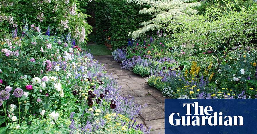 Fargeskjemaet i vårt blomsterbed er laget med planter med blå
