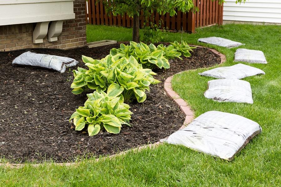 Mulch er hvilket som helst materiale som spres eller legges over jordoverflaten som et belegg
