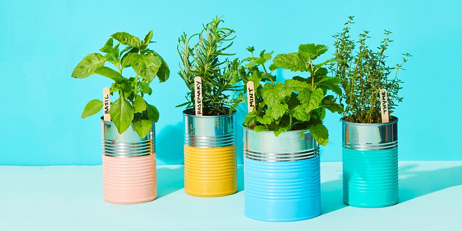 Trenger du ikke legge til vannløselig plantemat når du vanner plantene dine