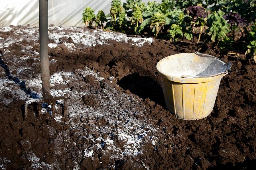 Det kan graves ned i jorden rundt plantens bunn for å øke svovelnivået i jorden