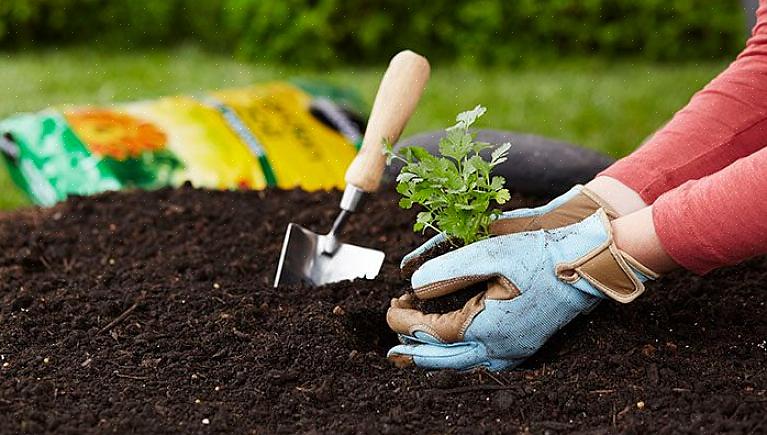 Jordens pH må være innenfor et område som gjør at planter får tilgang til næringsstoffene i jorden