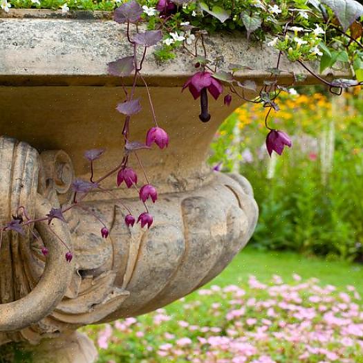 Hengende blomsterkurver for hver hage
