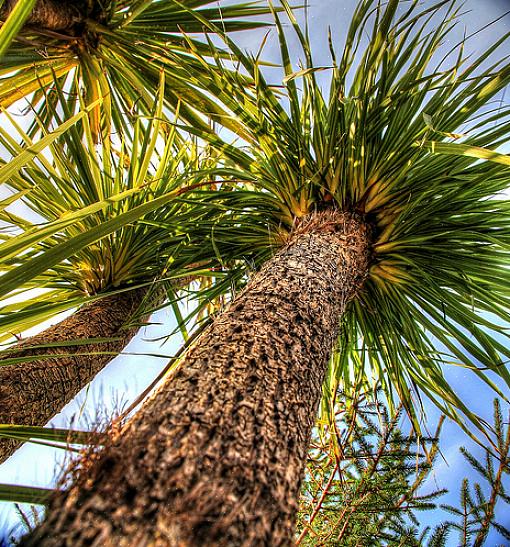 Kan ha problemer når temperaturene faller under 20 grader Fahrenheit