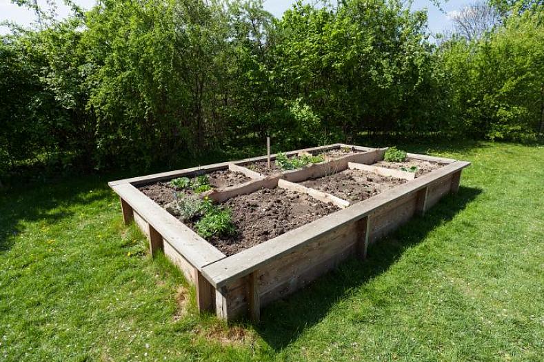Du kan vokse omtrent hvilken som helst plante i et hevet bed