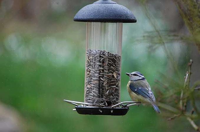 Er en enkelt fuglemater sjelden tilstrekkelig når du blir hekta på å mate fuglene
