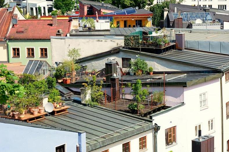 Du må nøyaktig vurdere hvor mange timer med direkte sol hvert sted du vil dyrke ting får
