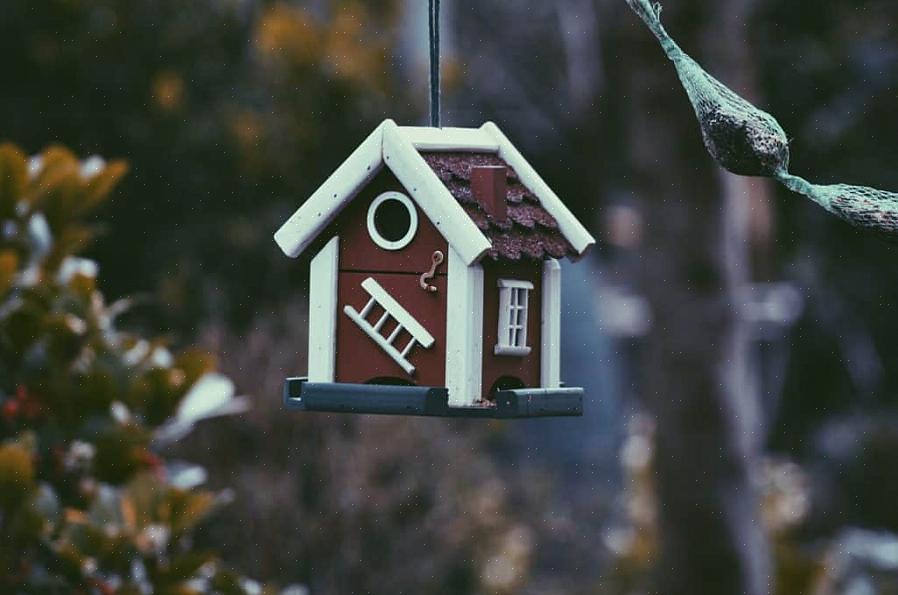 Fordi de fleste fugler ikke setter pris på hekkemateriale som er lagt til fuglehus